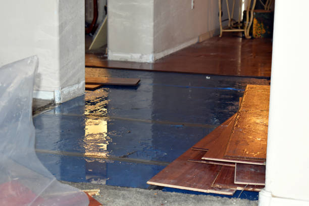 Professional Basement Flood Cleanup technician working in Hillsboro, KS